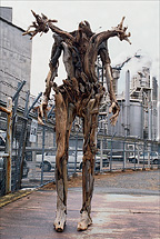 tr-14.jpg
